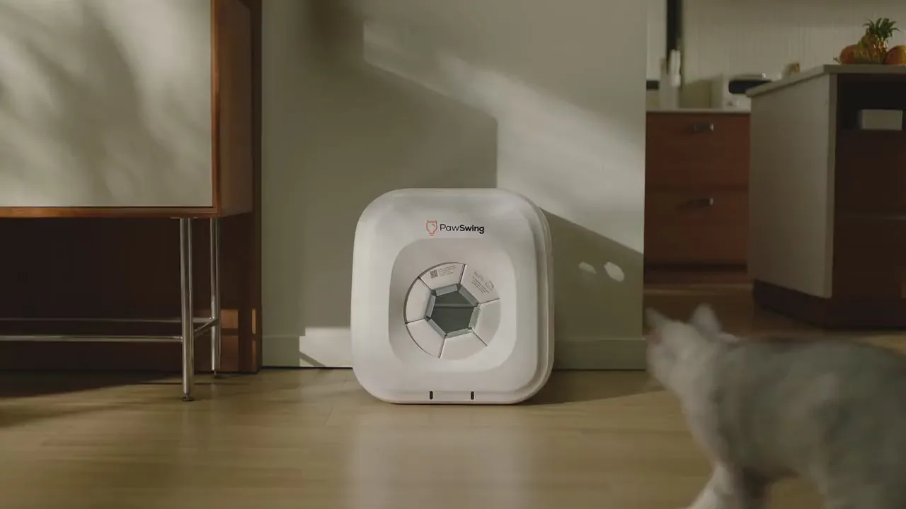 PawSwing bakım evini kullanan kedi